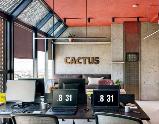 Cactus Office